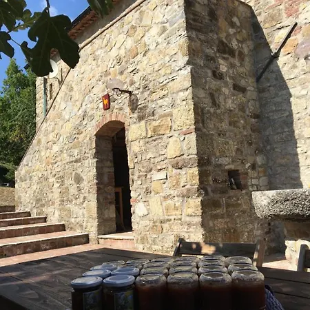 Podere Castelnuovo di Val di Cecina