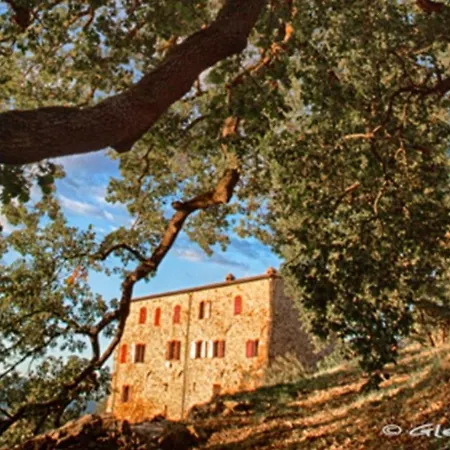 Apartment Podere