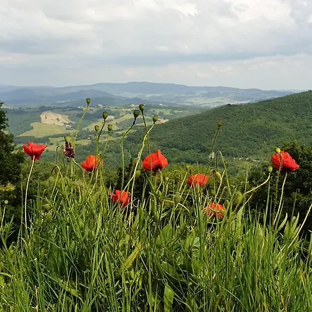 Podere Apartamento Castelnuovo di Val di Cecina